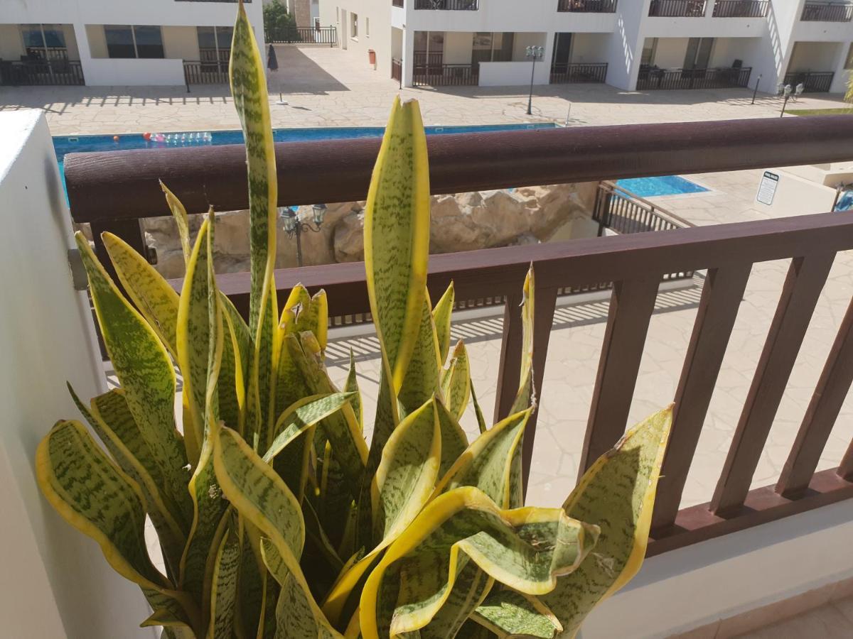 Stunning Apartment C106 With Balcony Looking Over Pool Pegeia Exterior foto
